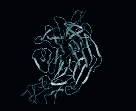 Homology modeled structure of Astrotactin-2