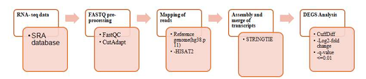 RNA-seq differential expression gene (DEGs) analysis pipeline