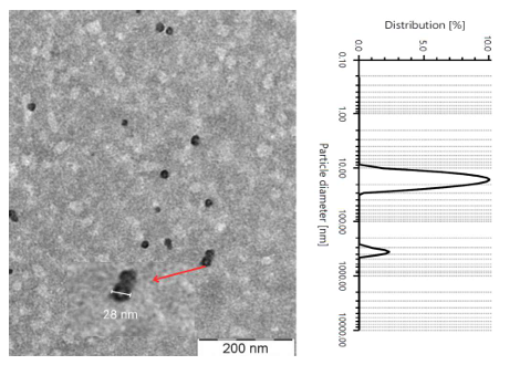 Particle size obtained by transmission electronic microscope (TEM) (left) and dynamic  : Particle size obtained by transmission electronic microscope (TEM) (left) and dynamic Particle size obtained by transmission electronic microscope (TEM) (left) and dynamic  light scattering (DLS) (right) 