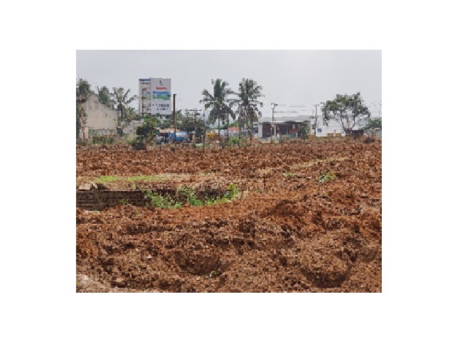 Red Soil field – Channasandra, Karnataka