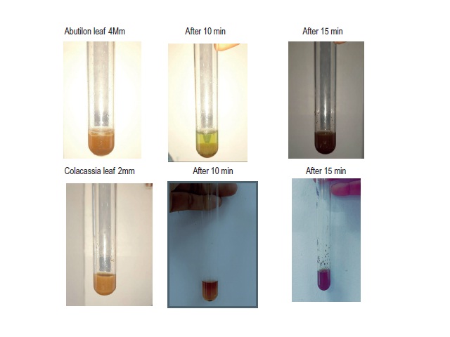 Green synthesis of Nanoparticle