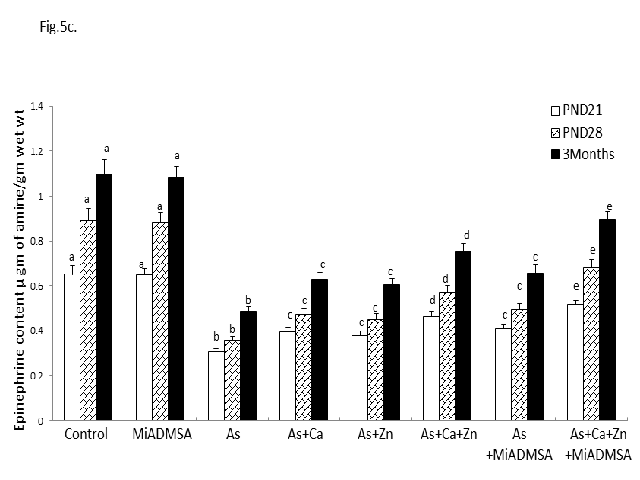 Effect of arsenic on epinephrine in different brain regions (cerebral cortex (a), cerebellum (b), hippocampus (c)) of PND 21, PND 28 and 3 months old rats and the reversal effects of calcium, zinc or MiADMSA, either individually or in combination. Rats were exposed to either deionized water (control) or As (100 ppm) or supplementation of calcium and zinc (individual 10 ppm each or combined 5 ppm each) together with As from gestation day 6 to PND 21. MiADMSA was given to pups from PND 18 to PND 20, either individually (50 mg/kg b.wt) or in combination (25 mg/kg b.wt) with calcium and zinc to As. Values represent Mean ± S.D (n=6). The 0.05 level of probability was used as the criterion for significance. Mean values in a row that share the same superscript do not differ significantly at P <0.05.