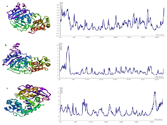 The remaining residues showed moderate fluctuations with RMSF values varied between 0.1 to 3.0 Å. The residues of WP_044568095 and WP_181864635 forming hydrogen bonds with Asn indicated fluctuations below 0.1810 Å and 0.7190 Å respectively.