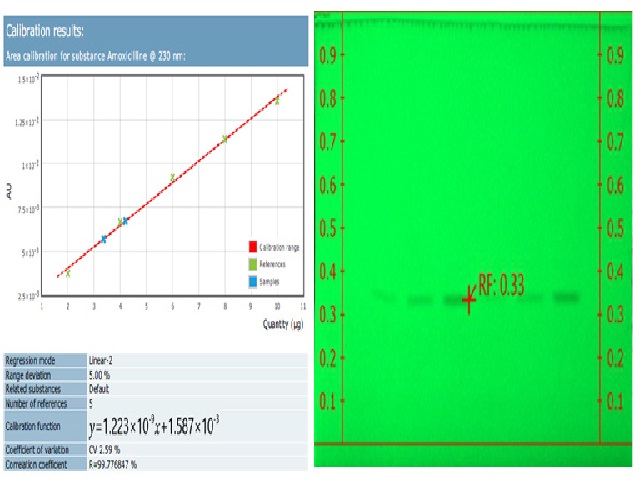 [A] X-Axis is the concentration of amoxicillin and Y-Axis denoted area under the peak. [B] HPTLC of amoxicillin on silica gel layers with pretreatment of 10 % EDTA with corresponding UV. Mention scale in a green plate was range taken for the retention factor.