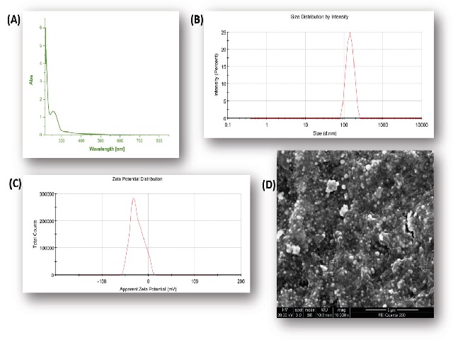 (A) UV-Visible spectroscopy, (B) DLS (dynamic light scattering) spectroscopy, (C) zeta potential, and (D) scanning electron microscopic images of selenium nanoparticles (SeNPs).