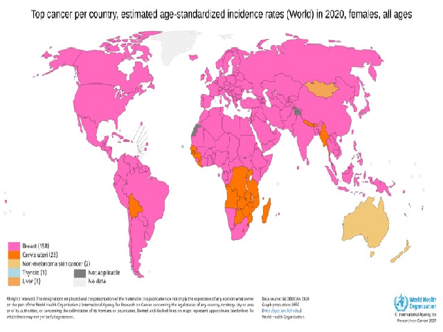 Assessed number of cases in 2020, around the world, women, all ages.