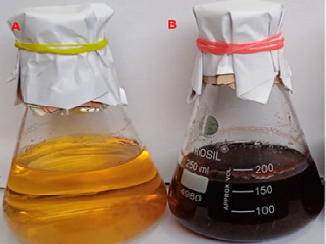 Lycopersene production is shown Streptomyces sp. VITGV156 in ISP2 broth