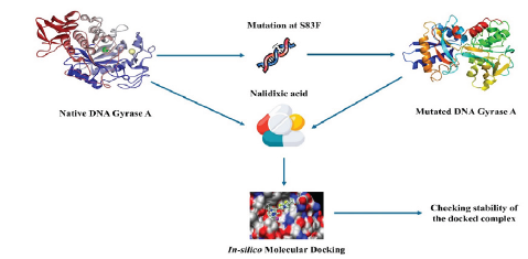 The Graphical Abstract