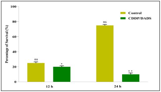 The percentage of MDA-MB-231 cells  that survived after treatment with CDDP/DADS  compared to the control at 12 and 24 h.