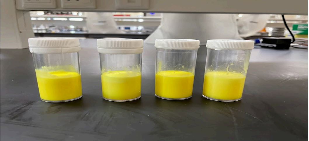 Physical appearance of the optimised oil-in-water curcumin-based polyherbal nano emulsion