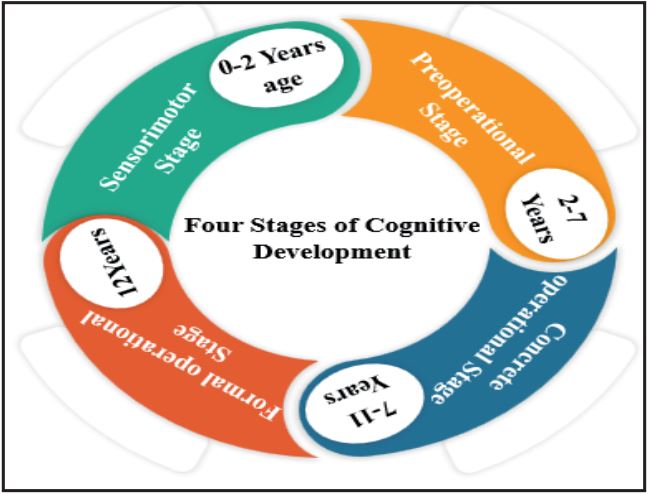 Developmental Stages of Cognitive  Development