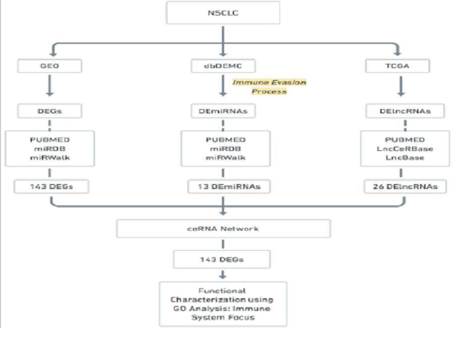 Overall Workflow of the study