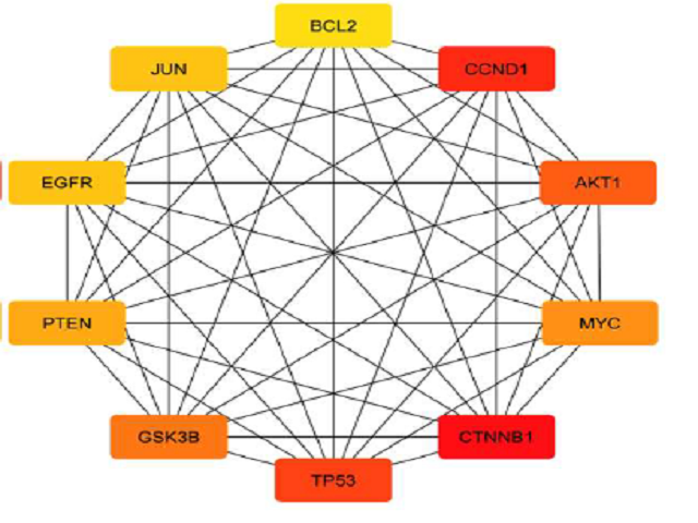 Top 10 hub genes among the upregulated miRNA (b) Degree centrality