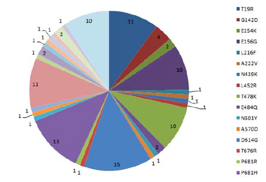 Proportion of variation in Sequences of SARS CoV-2