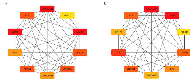 Subnetwork of top nine hub genes from protein Cytoscape software