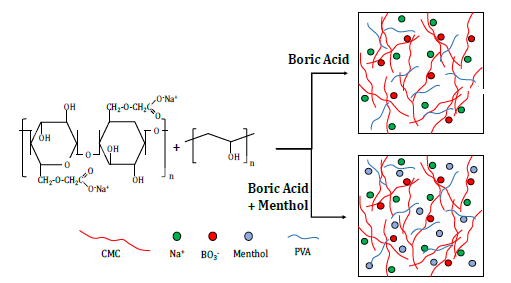 The preparation of the proposed polymers using Na-CMC and PVA