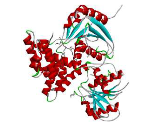 The complex of Drug orlistat and the catalytic domain (thioesterase) of human FAS