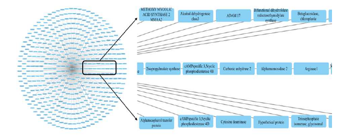 Cytoscape network for Amoxapine