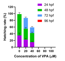 Effect of different concentrations of valproic acid (VPA) on hatching rate (%) of zebrafish embryos at 24, 48, 72, and 96 hpf.