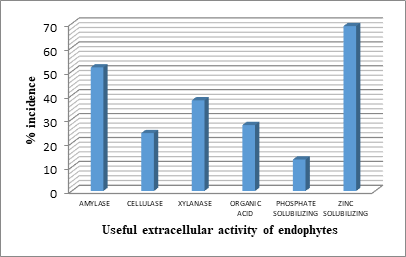 Incidence of fungal endophytes (%) isolated from Terminalia sp.