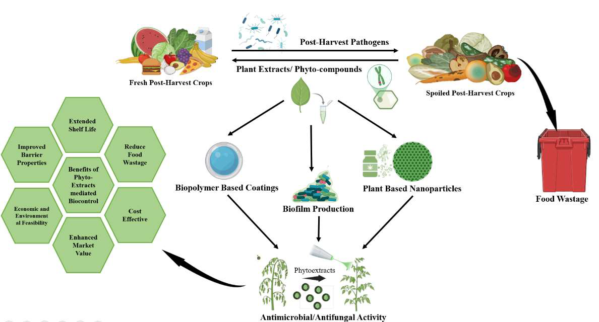 Graphical Abstract illustration showing methods of plant extract application and benefits