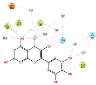 Molecular level interactions observed during the molecular dynamic simulations between Q02876-Myricetin complexes.