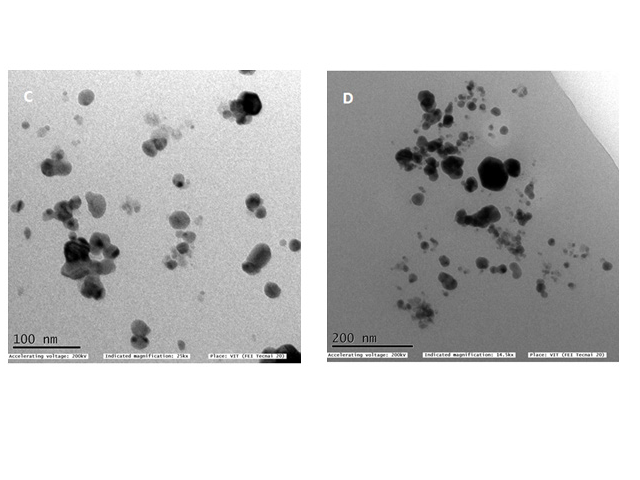 TEM images of synthesized green tea silver nanoparticles at different magnification