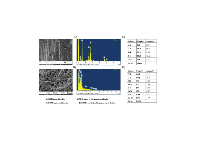 SEM and EDAX analysis of Zeolite and Selenium doped Zeolite