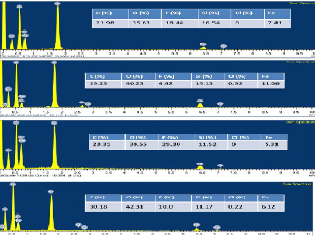 Elemental mapping of prepared MNPs