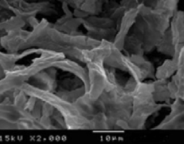 SEM structure of Tamarind tree bark a) befor b)after biosorptionS