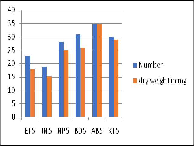 representing the number of nodules and total dry weight of nodules developed by various strains of rhizobium.