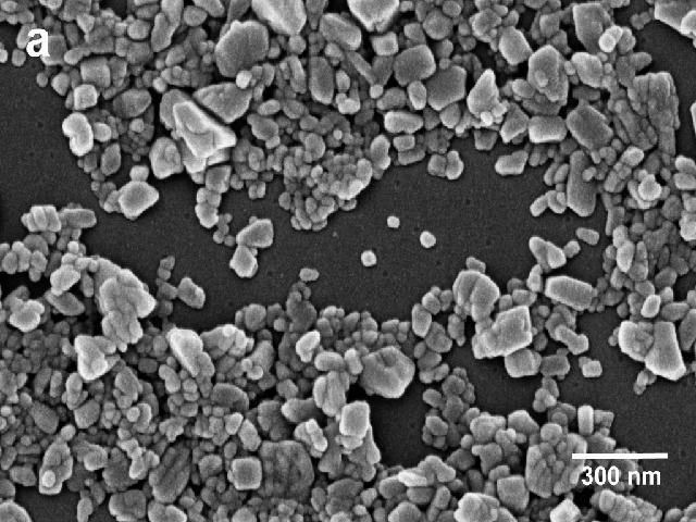 SEM image of optimized formulation